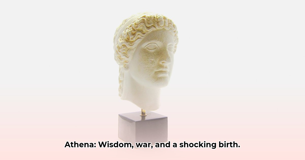 godin-geboren-uit-hoofd-zeus
